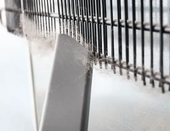 vacuuming-refrigerator-coils